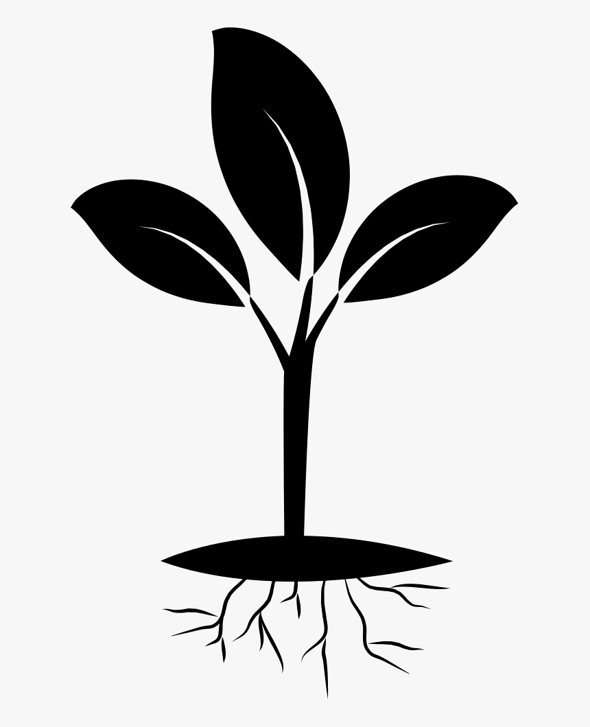 Plant With Roots Clipart Black And White, HD Png Download, Free Download