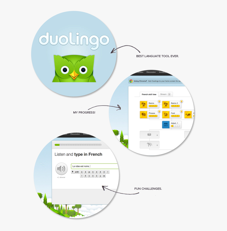 Duolingo, HD Png Download, Free Download