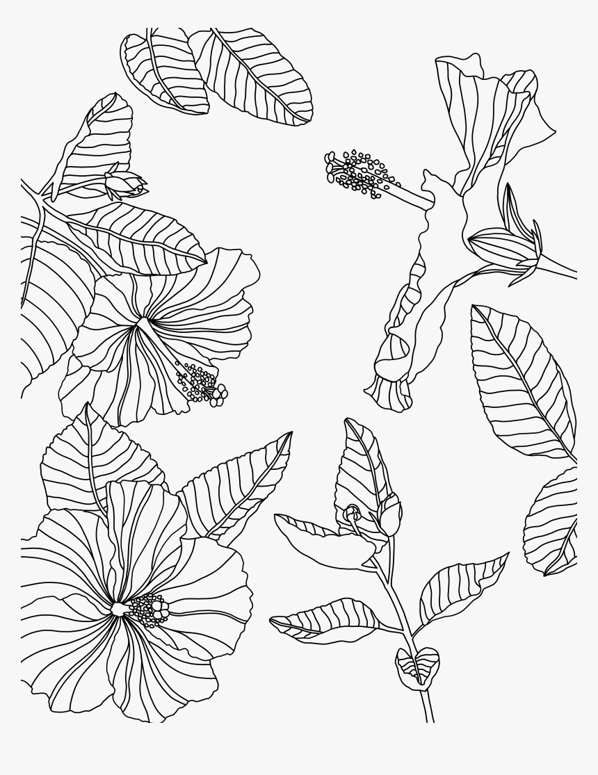 Transparent Tumblr Png Coloring Pages - Coloring Page Procreate Free, Png Download, Free Download