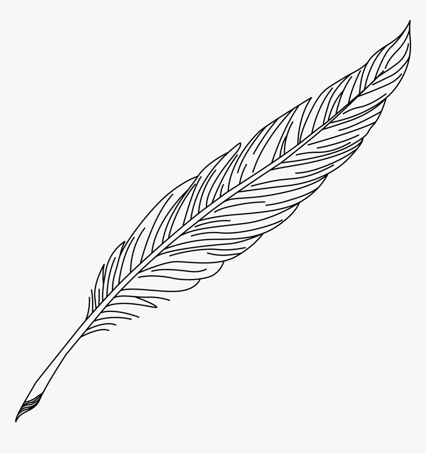 Quill Pen Drawing At Getdrawings - Clipart Feather Pen Drawing, HD Png Download, Free Download