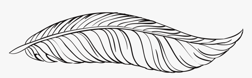 Feather Black And White Png, Transparent Png, Free Download