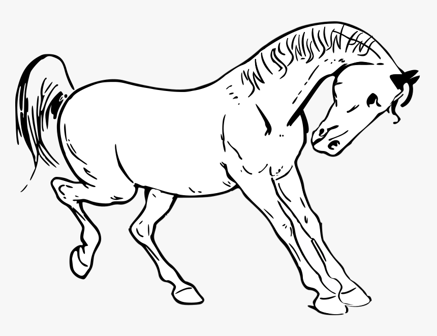 Transparent Horse Head Silhouette Png - Horse Kicking Coloring Pages, Png Download, Free Download