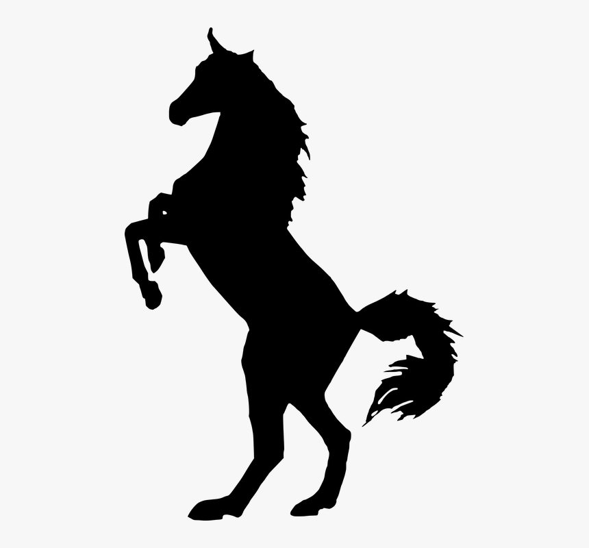 Silhouette, Horse, Animal, Animal Mane, Outline - White Horse Clipart Png, Transparent Png, Free Download