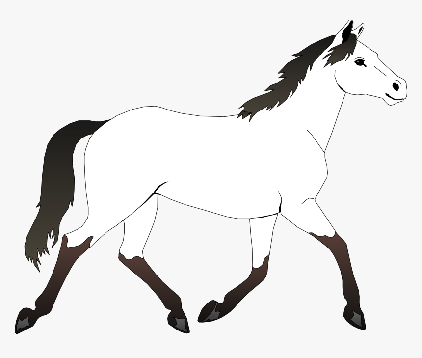 Horse Black White Line Art Coloring Sheet Colouring - Horse White And Black, HD Png Download, Free Download
