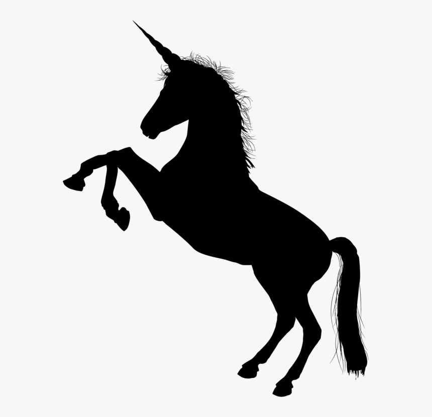 Transparent Head Silhouette Png - Shadow Of A Unicorn, Png Download, Free Download