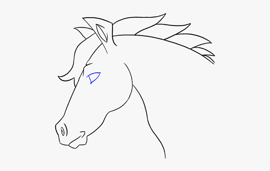 How To Draw Horse Head - Drawing, HD Png Download, Free Download