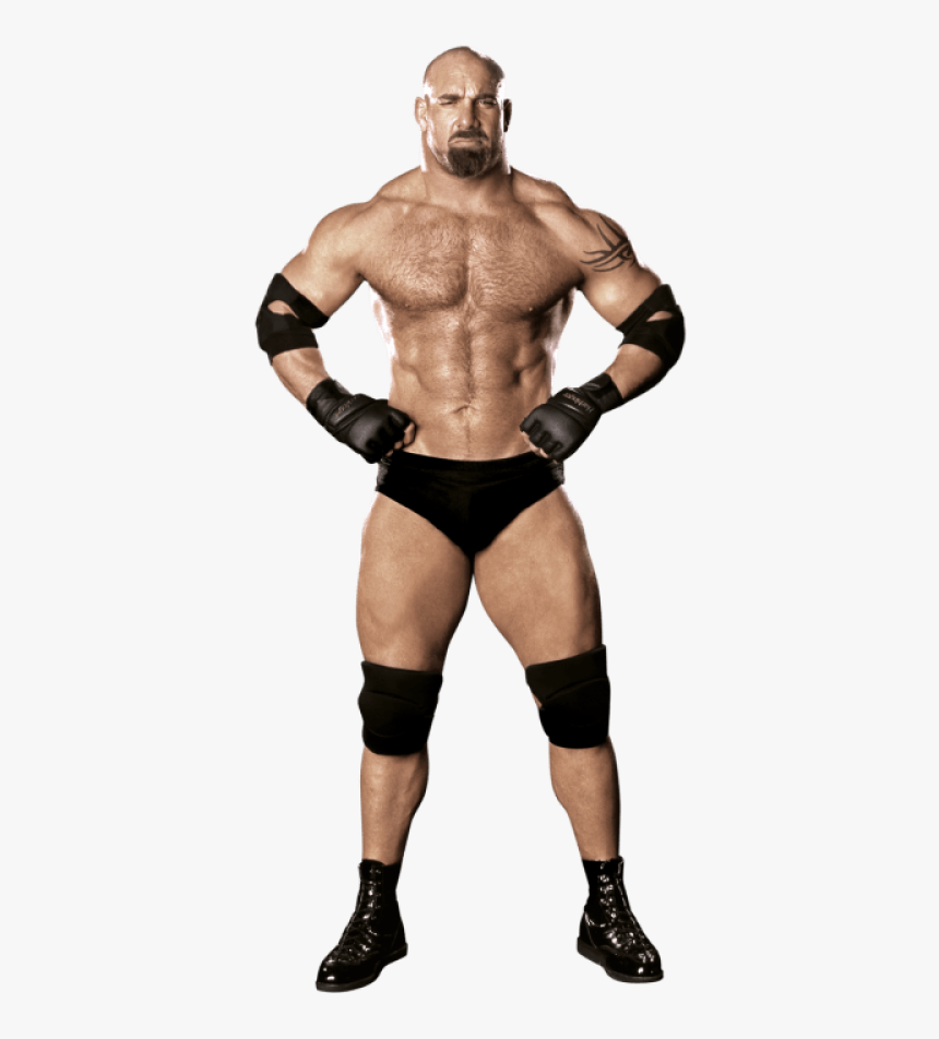 Wwe Wrestlers White Background, HD Png Download, Free Download
