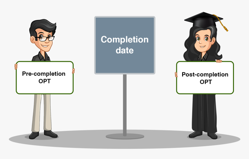 Optional Practical Training - Cartoon, HD Png Download, Free Download