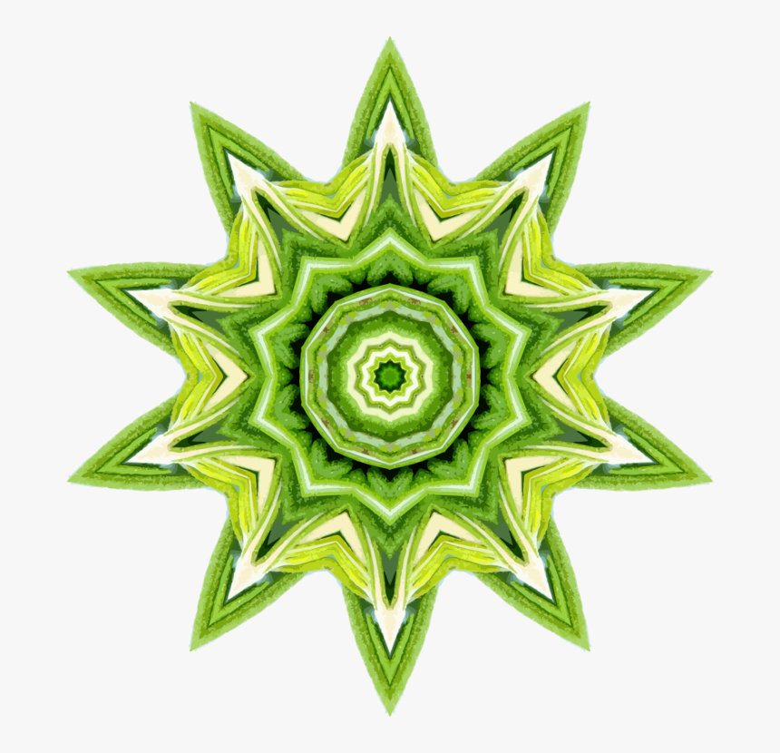 Plant,flower,leaf - Kaleidoscope Fruit Png, Transparent Png, Free Download