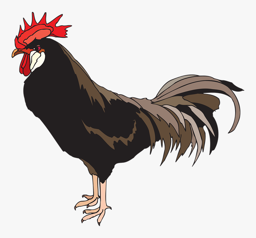 Pig And Rooster Silhouette, HD Png Download, Free Download