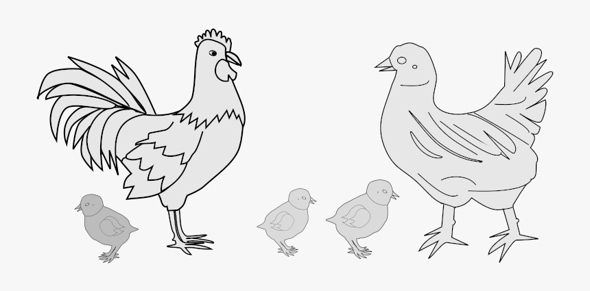 Hen In Farm Cartoon Png, Transparent Png, Free Download