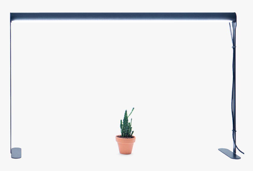 Transparent Table Plant Png - Flowerpot, Png Download, Free Download