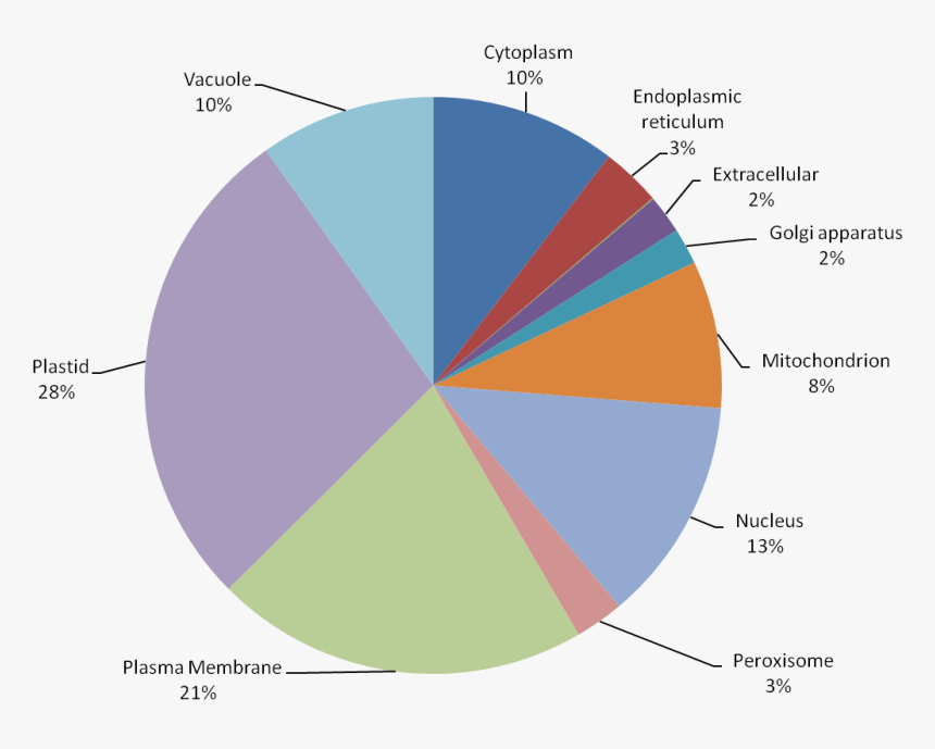 Diagram, HD Png Download, Free Download