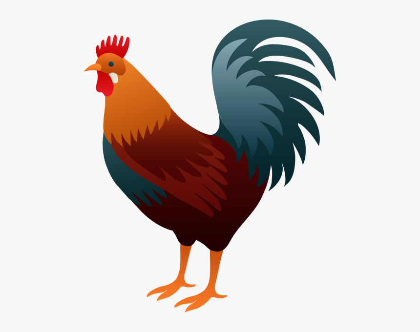 Rooster Png Photo - Rooster Clipart, Transparent Png, Free Download