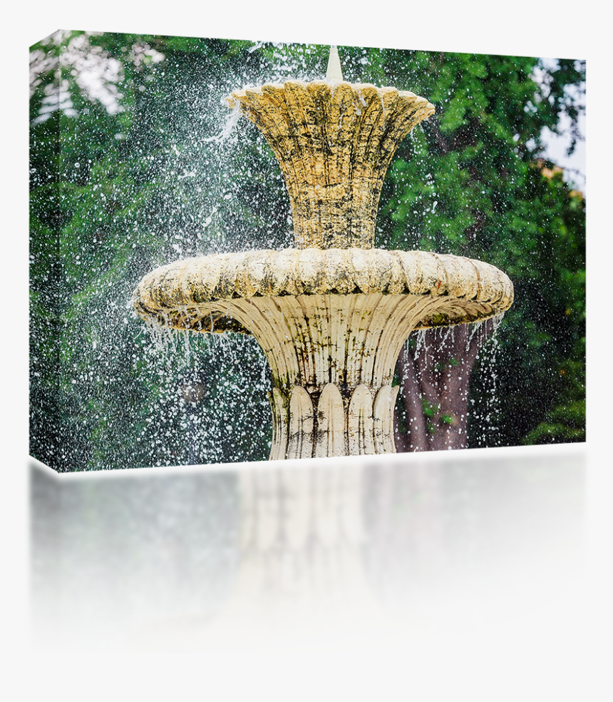 Feature,trunk,table - Water Feature, HD Png Download, Free Download
