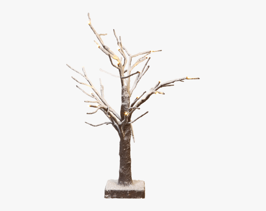 Table Decoration Tobby Tree - Houseplant, HD Png Download, Free Download