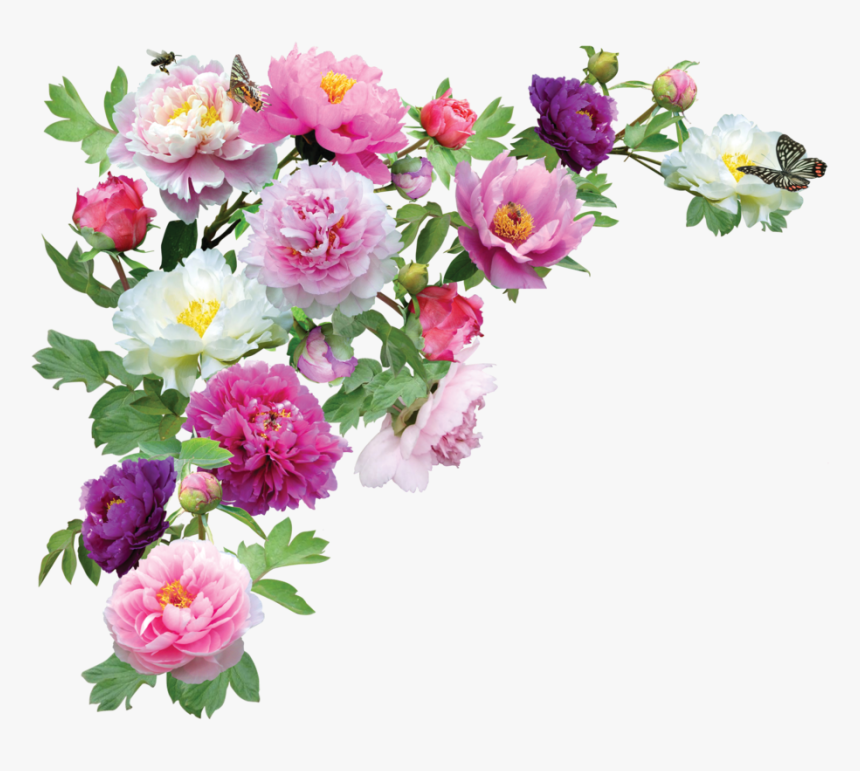 Flower Corner Border Png, Transparent Png, Free Download