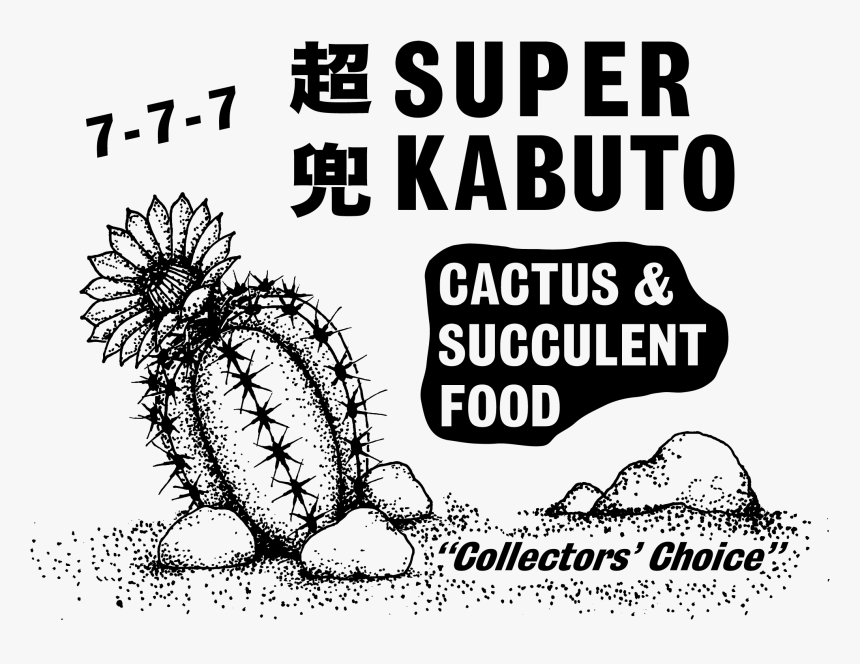 Astrophytum Super Kabuto Cactus, HD Png Download, Free Download