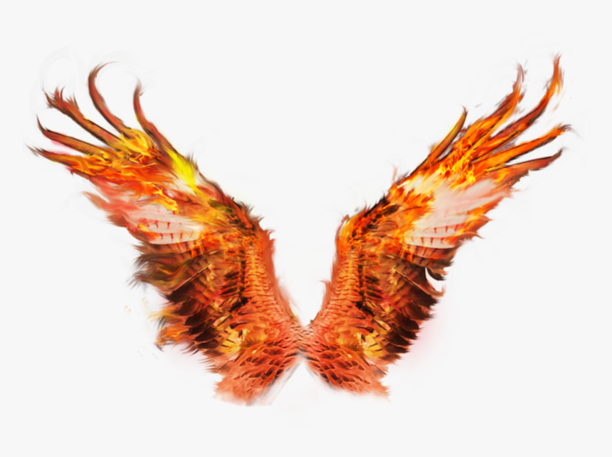 #wings #wing #fire #flame #owl #freetoedit - Transparent Fire Wings Png, Png Download, Free Download