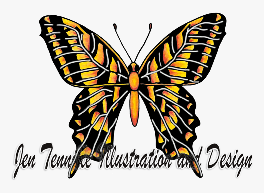 Butterfly Illustration Art In Colored Pencil - Brush-footed Butterfly, HD Png Download, Free Download