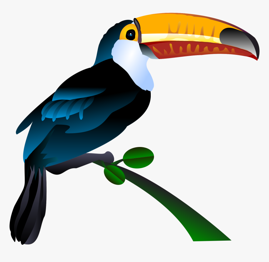 Toucan Clipart Png, Transparent Png, Free Download