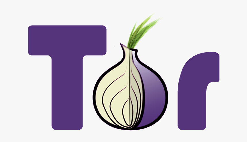 Tor Onion, HD Png Download, Free Download