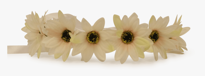 Flower Crown Transparent Brown, HD Png Download, Free Download