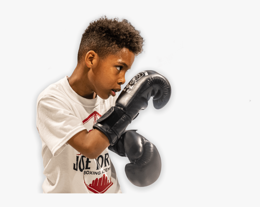 Professional Boxing, HD Png Download, Free Download