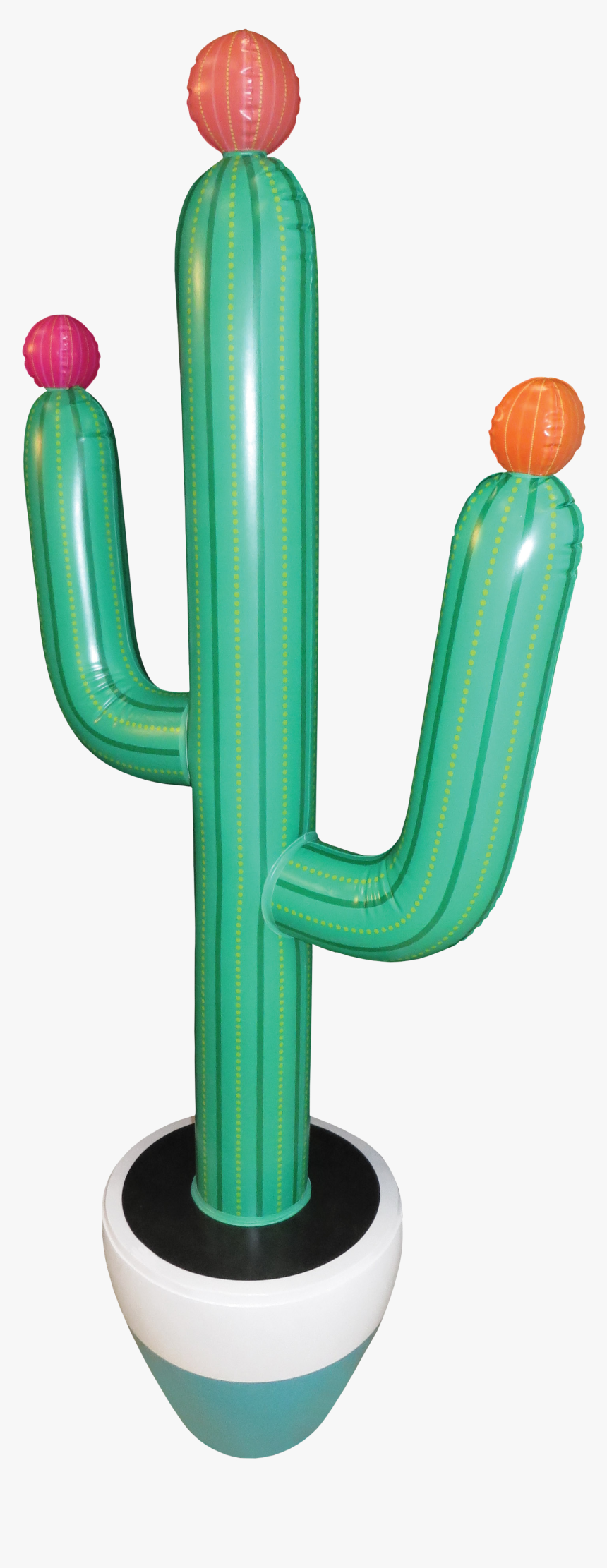 Inflatable Cactus - 1 - 6m Tall - San Pedro Cactus - San Pedro Cactus, HD Png Download, Free Download