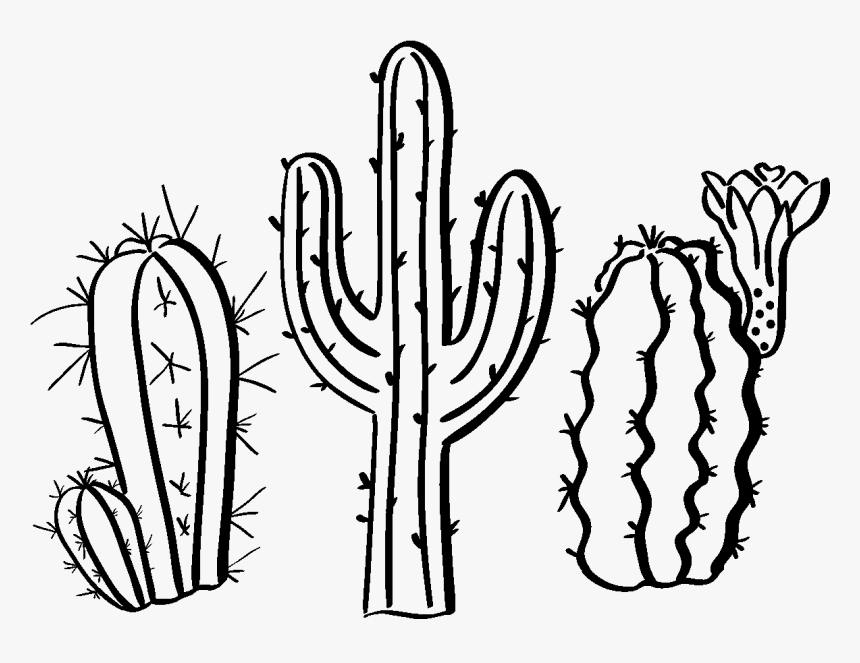 Sticker Boheme 3 Cactus Du Desert Ambiance Sticker - Cactus In Desert Drawing, HD Png Download, Free Download