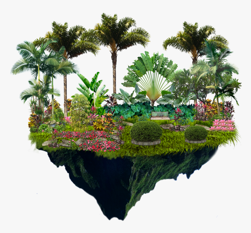 #botanicalgarden #garden #tropical #jungle #palmtrees - Floating Hill Png, Transparent Png, Free Download