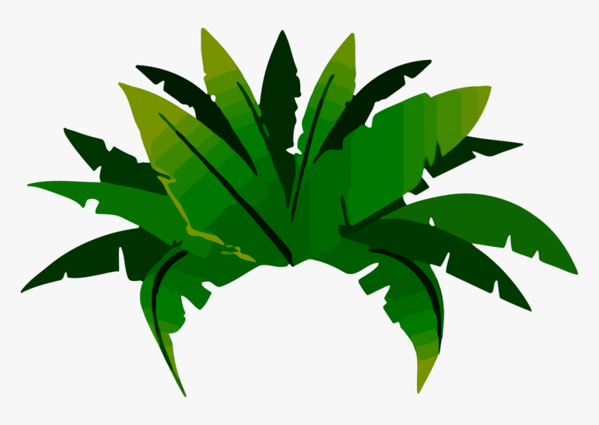 Plant,leaf,arecales - Animated Amazon Rainforest Trees, HD Png Download, Free Download