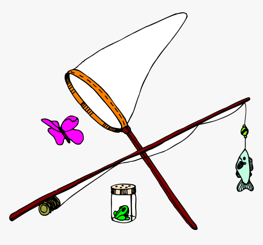 Butterfly, Fish, Net, Insect, Fishing, Jar, Pole - Butterfly Fishing, HD Png Download, Free Download