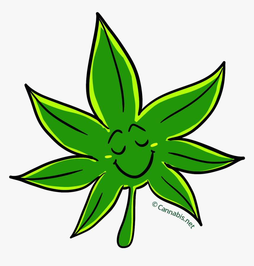 Marijuana Clipart Tropical Plant - Marijuana Plant Png, Transparent Png, Free Download