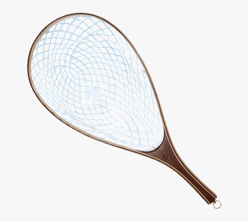 Jacklin Medium Aquafade Awaw - Tennis Racket, HD Png Download, Free Download