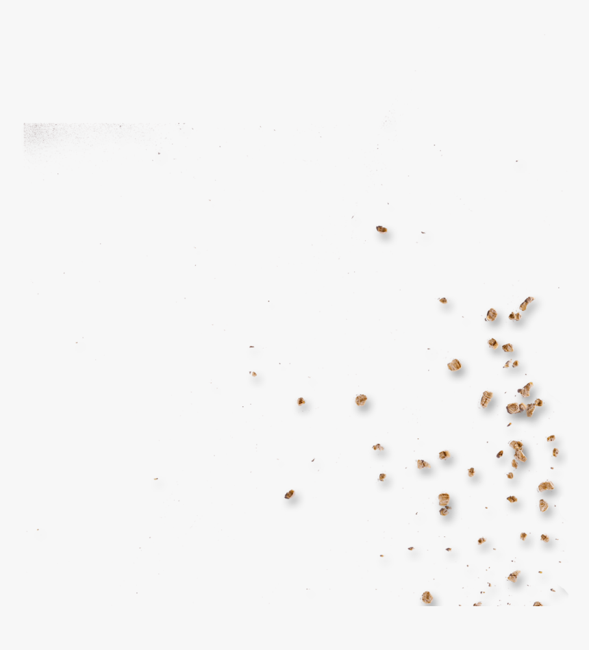 Transparent Crumbs Png - Invertebrate, Png Download, Free Download