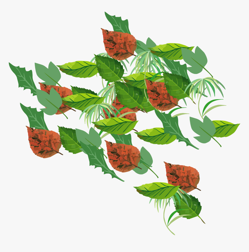 Vector,vector Flower,vector Art,vector Ornament,floral,vector - Illustration, HD Png Download, Free Download