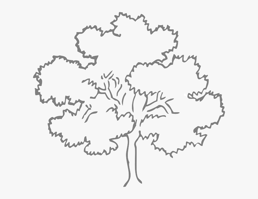 Tree Png With Outline - Oak Tree Outline, Transparent Png, Free Download