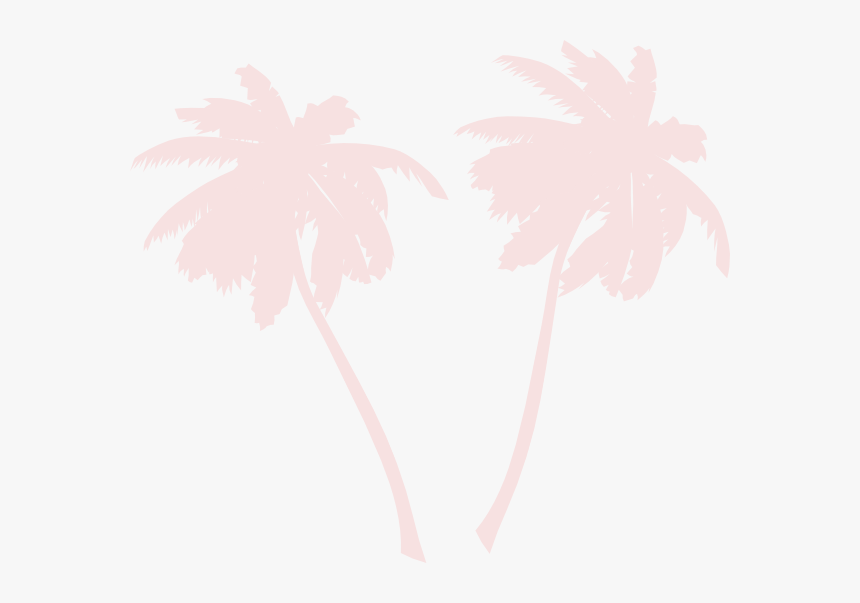 Transparent Palm Vector Png - White Palm Trees Vector Png, Png Download, Free Download