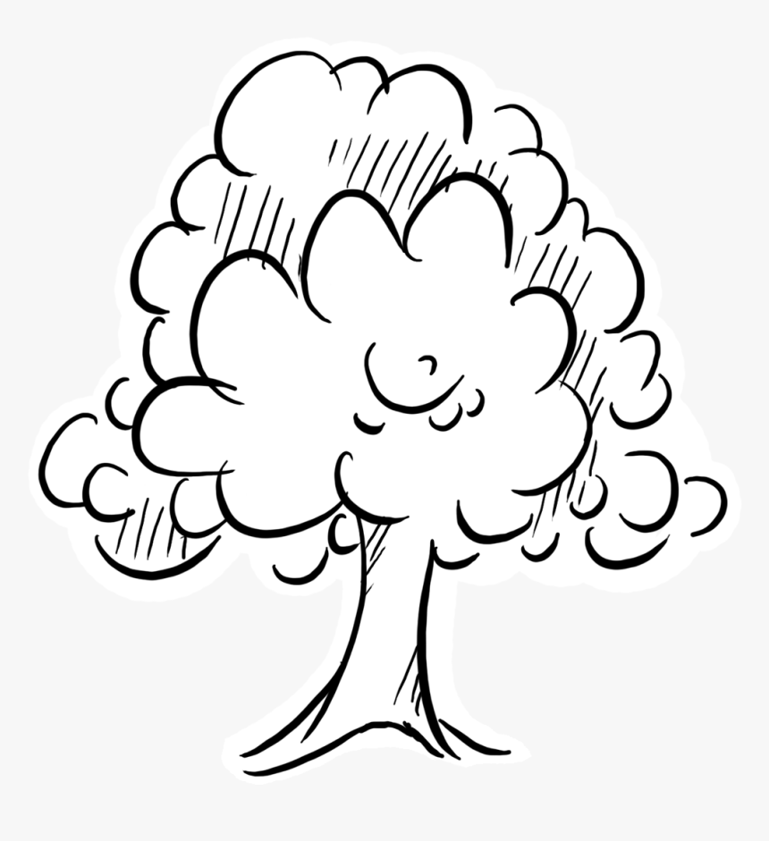 Tree Outline Graphic - Illustration, HD Png Download, Free Download