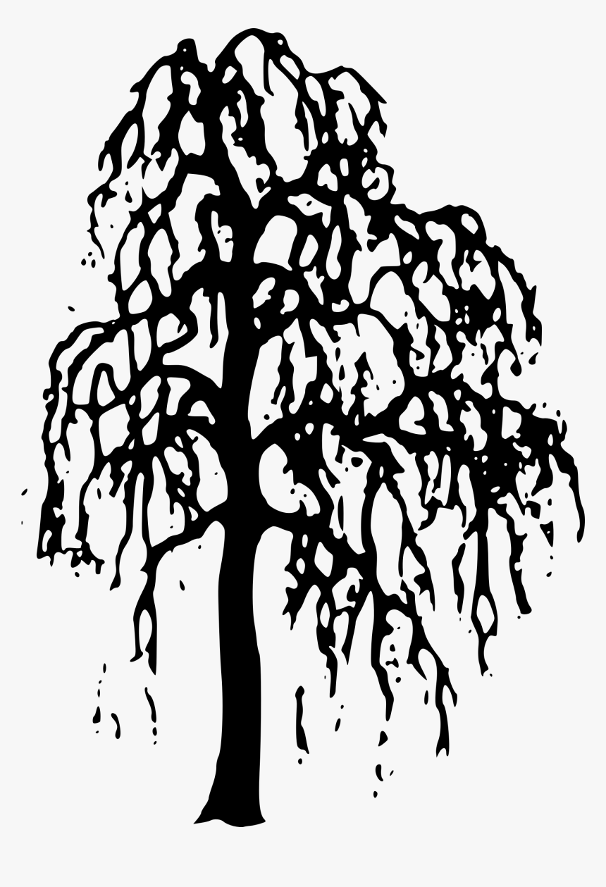 Nature Clipart Willow Tree Clipart Gallery Free Clipart - Willow Tree Silhouette Transparent, HD Png Download, Free Download
