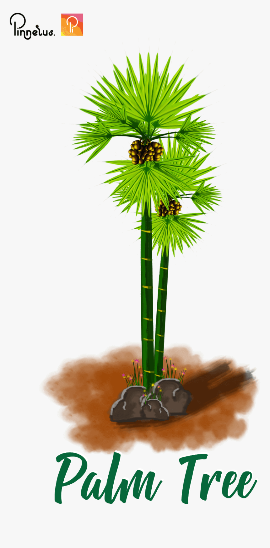 Khmer Palm Tree Khmer Palm Tree - Palm Tree Khmer Sign, HD Png Download, Free Download