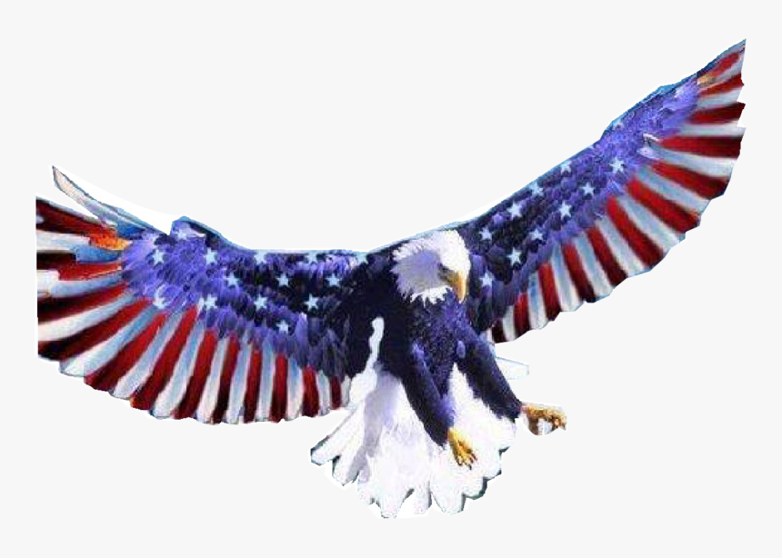 American Flag Eagle Png - Transparent American Eagle Gif, Png Download, Free Download