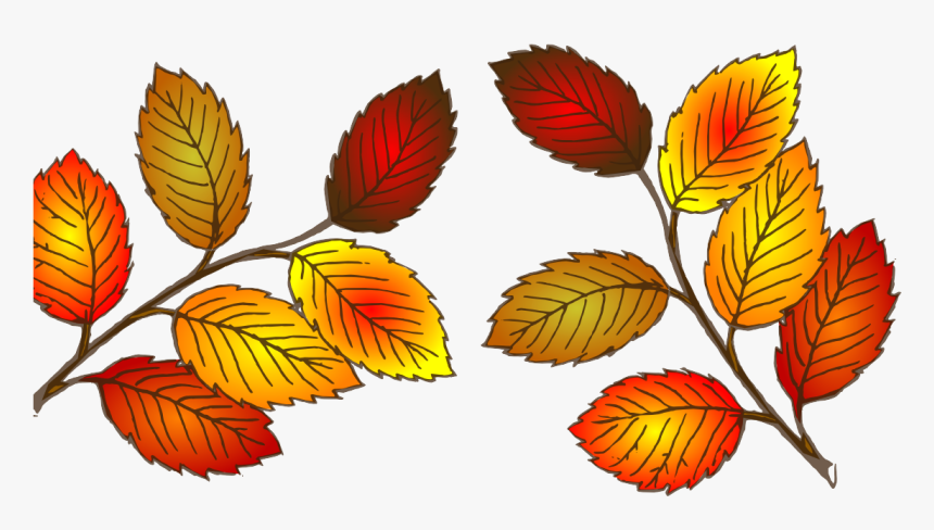 Cartoon Drawing Fall Tree , Png Download - Leaves Clip Art, Transparent Png, Free Download