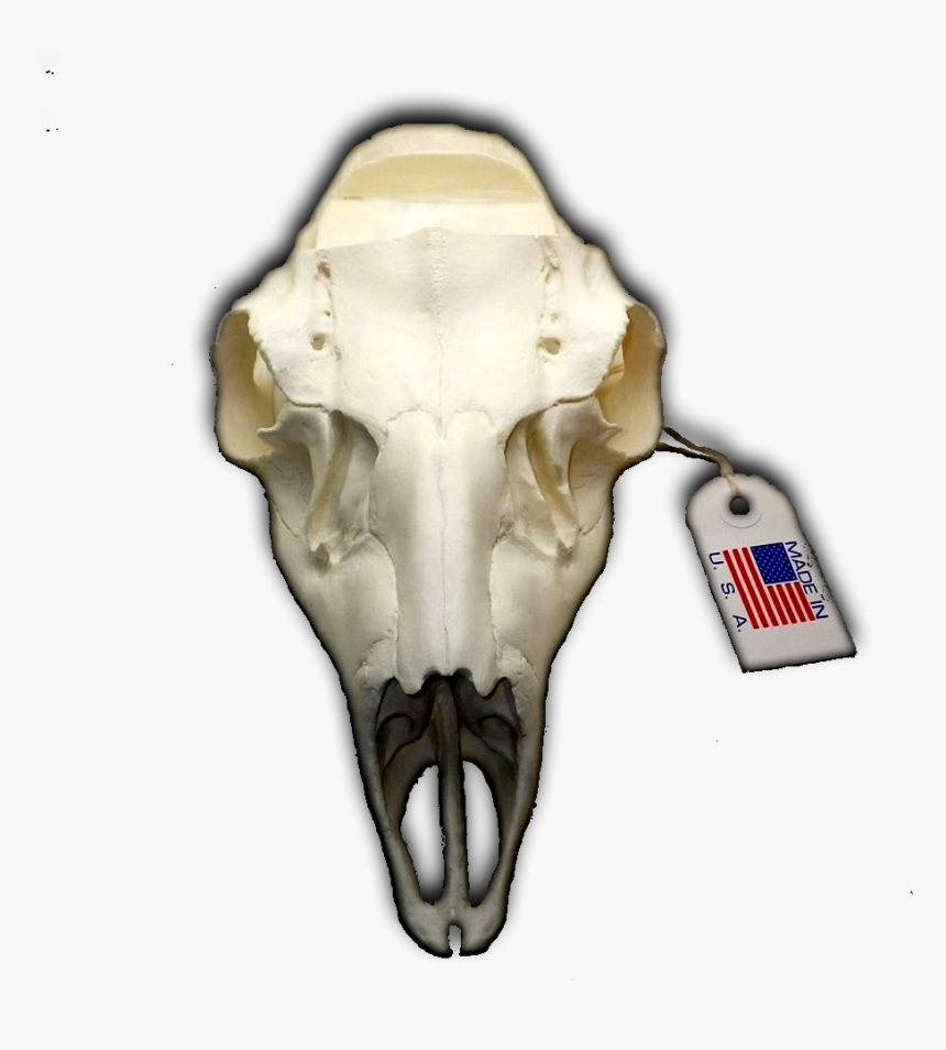 Replica European Camo Deer Skull, HD Png Download, Free Download