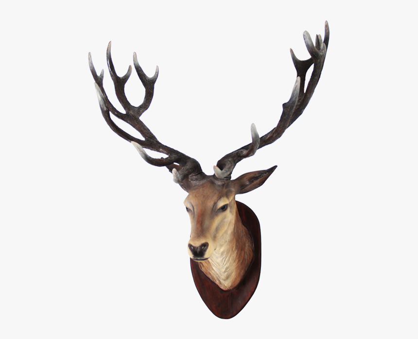Clipart Png Deer Best - Deer Head Png, Transparent Png, Free Download