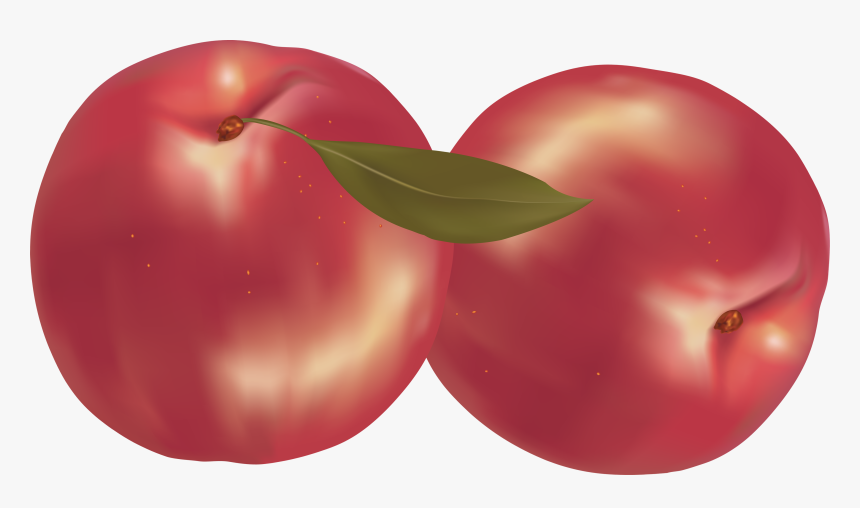 Peaches - Peach, HD Png Download, Free Download