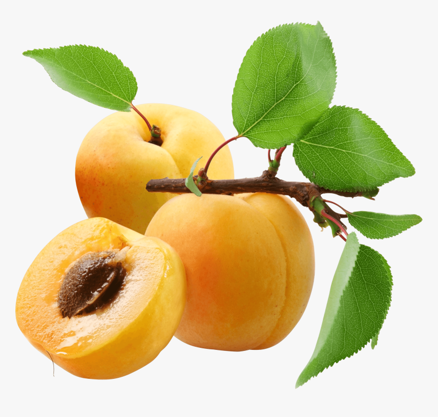 Three Peaches - Apricots Png, Transparent Png, Free Download