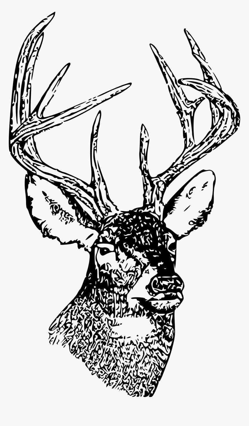 Whitetail Deer Head - Black And White Deer Head Clip Art, HD Png Download, Free Download