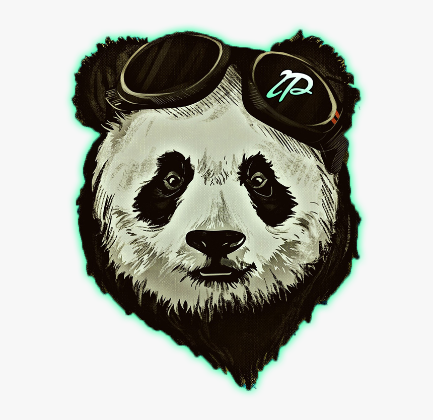 Panda Hipster, HD Png Download, Free Download
